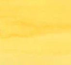 Calendula - 3ml