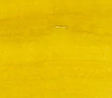 Day 1 Fortunes Gold