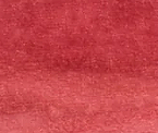 Day 2 Cashmere Rose