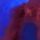 Dominant Blue No.104 - 3ml