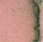 EARTH - 5ml