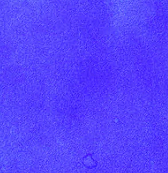 Eclat de Saphir