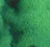 Ever Green - 5ml
