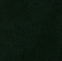 Forest Black