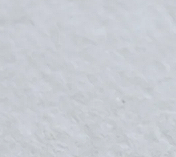 Gray (White Paper)