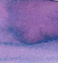 Lavender Coral - 3ml