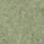 Lichen - 5ml