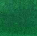 Magical Forest - 3ml