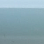 Misty Green
