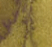 Muddy Grass - 5ml