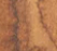 Muddy Sand - 5ml