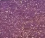Mulberry Majesty - 3ml