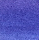 Night Shade - 5ml