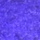 Nioi-sumire