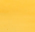 No.808 神采 Good Spirits - 3ml