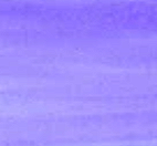 Platycodon - 3ml