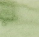 青牛 Qing Niu - The Verdant Ox - 3ml