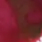 Romania Red No.101 - 3ml