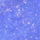 Ruriiro - 5ml