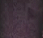 Sepia Nights - 5ml