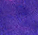 Shadowsnow - 5ml