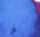 Soda Pop Blue - 5ml