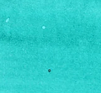 Spearmint Diva - 3ml