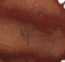 Sukigokoro - 3ml
