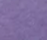 Summer Purple
