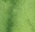 Verde de Rio - 5ml