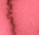 Whisper Red - 5ml